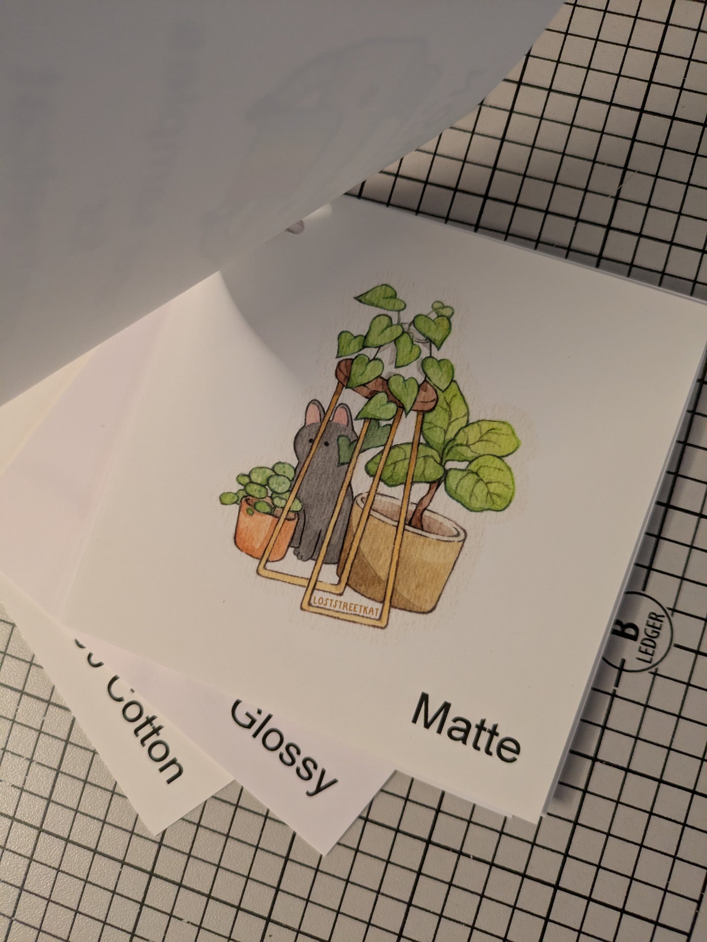 Personalized Paper Sample Booklet for WonderCon